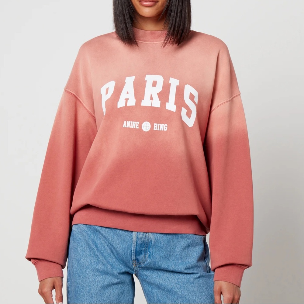 ANINE BING Jaci Sweatshirt University Paris in Washed Faded Terracotta